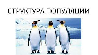 Популяция и ее структура