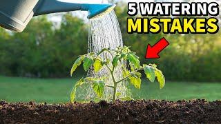 5 Mistakes You Must NEVER Make Watering Your Garden