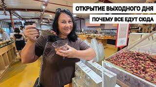 СЕВЕР ИЗРАИЛЯ. Хотели скупить все!!! Рынок специй и винодельня SIMON