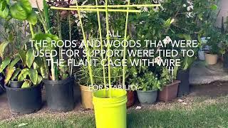 Easy DIY Plant Stand -In a limited space