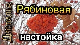 Рябиновая настойка