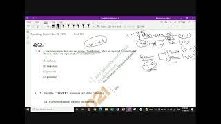 SEDIMENTARY Previous year Q&A and Numerical class video-1: BRAHMASTRA