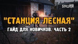 Гайд для новичков. Начальная локация "Станция Лесная". Часть 2. Выживание в Сталкер Онлайн.