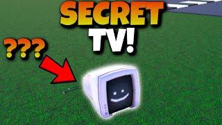 NEW SECRET "SMILEY TV" INGREDIENT LOCATION! Wacky Wizards Roblox