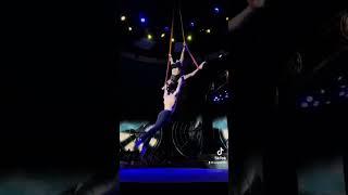 Aerial straps “ Duo Desire “ ( Denis & Jilliana Bazhenov's )