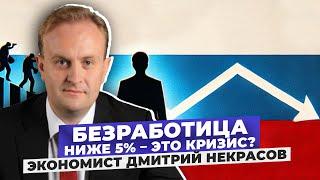 Дефицит кадров и низкая производительность труда. Экономист Дмитрий Некрасов