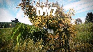 СНАЙПЕРСКОЕ ДЕЛО в DayZ