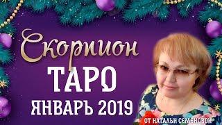 Скорпион таро прогноз на январь 2019г