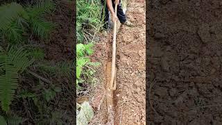 Pickaxe digging process # tool