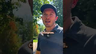How to PREVENT Crabgrass on your Lawn!