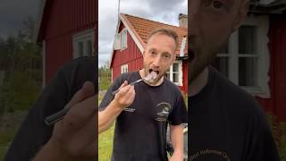 Surströmming challenge! (Rotte Vis) 