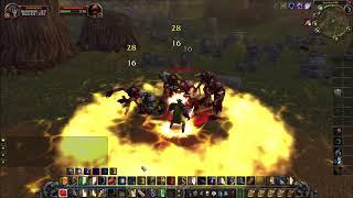 Classic WoW  Pala Aoe Leveling