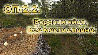 Вороньи яйца для Повара в Забытом Лесу все места спавна. ОП-2.2.