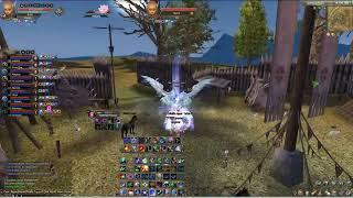Divinity PW- Crown PVP- Outnumbered