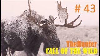 Мир охоты theHunter Call of the Wild # 43