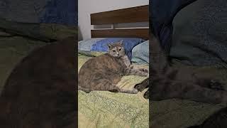 Molly e Timo super sciallo !!! ️