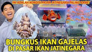 BUNGKUS IKAN PALING GAK JELAS DI PASAR IKAN JATINEGARA! KONDISI PALING RAME YANG PERNAH AKU KUNJUNGI