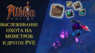 Albion online : ВЫСЛЕЖИВАНИЕ - ОХОТА НА МОНСТРОВ И ДРУГОЕ PVE СОЛО ДАНЖИ, АВАЛОН, ХЦЕ