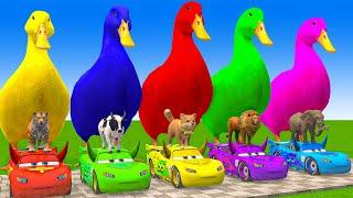 5 Giant Duck Cartoon,Cow,Mammoth,Dog,T-Rex,Lion,Tiger Paint Wild Animals Crossing Fountain Animation