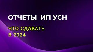 Какие отчеты сдавать ИП на УСН 2024