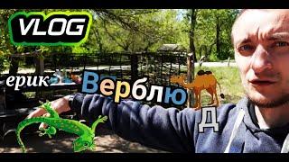 Наша поездка на ерик Верблюд)))