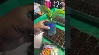 Hey here’s quick tip that can save your hand during this seed starting season #garden #tucson￼