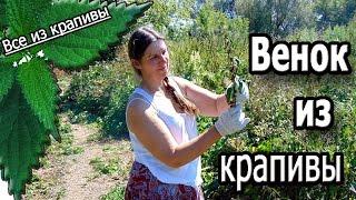 Венок из крапивы. Крапива. Все из крапивы.