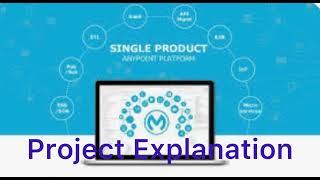 How to explain about Mule Project in Interviews? Mulesoft project Explanation