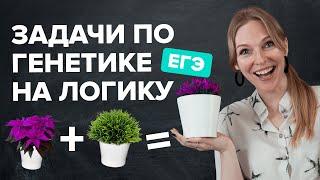 Задачи из №4 в ЕГЭ по генетике 2022  Генетика ЕГЭ 2022 | Биология TutorOnline