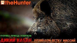  theHunter Classic  Рубрика - помощь новичкам  Дикий кабан - начинаем миссии  Feral Hog 