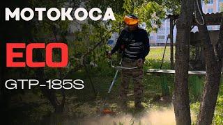 СБОРКА и ЗАПУСК (триммера) мотокосы ECO GTP 185s с разборной штангой