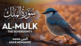 Surah Al Mulk (سورة الملك) - أنس محمد | Anas Mohammad | Quran Recitation (4K)