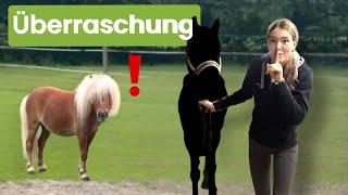 BESUCH BEI EDDY MIT GROSSER ÜBERRASCHUNG