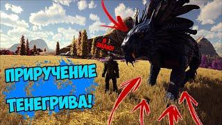 ARK - КАК ПРИРУЧИТЬ ТЕНЕГРИВА | SHADOWMANE HOW TO TAME | ARK GEN2, FJORDUR, ОБЗОР, СПОСОБНОСТИ