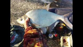 Рыбалка на Вилейском водохранилище. Ловля леща на Вилейском водохранилище в сильный ветер.