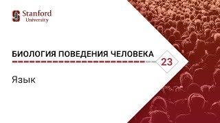 Биология поведения человека: Лекция #23. Язык [Роберт Сапольски, 2010. Стэнфорд]