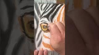 Painting a Zebra: The Art Experiment