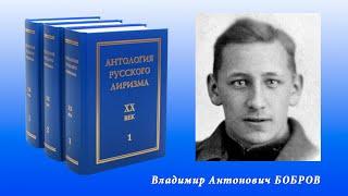 Владимир Бобров. "Антология русского лиризма. ХХ век".