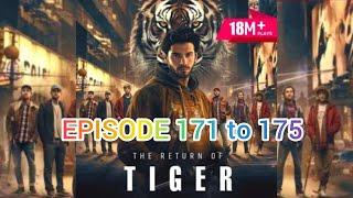 The Return Of Tiger || Episode 171 To 175 In Hindi || Pocket Fm Story#pocketfm#story#pocketfmstories
