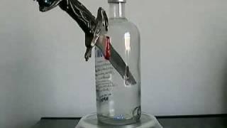 Glass Bottles Cutting Art - Knife Stuck in an ABSOLUT VODKA Bottle