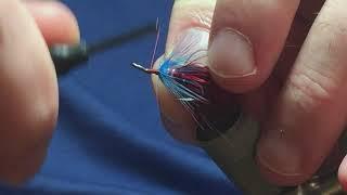 Tying a Irish shrimp fly, the Bush Special Shrimp