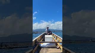 Teluk Kolono #music #love #edm #beach #travel #shorts