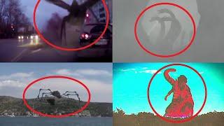 5 Godzilla Characters Caught on Camera & Spotted in Real Life 3