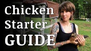 Beginners Guide To Raising BACKYARD CHICKENS