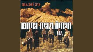 Gula Serê Çîya