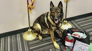 Officer fights to keep K-9 after leaving Bedford Heights Police Department