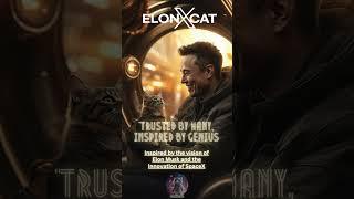 Beyond the Horizon The World of ElonXCat Awaits