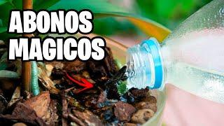 Los 7 MEJORES ABONOS CASEROS Para Tus PLANTAS!! Consigue Más FLORES y FRUTOS | La Huerta de Ivan