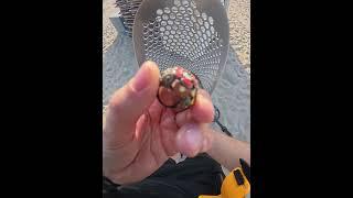 #detector #клад #anillo #ring#кладоискатель #tesoro #кольцо