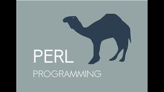 How To Run A Perl Script With Notepad++